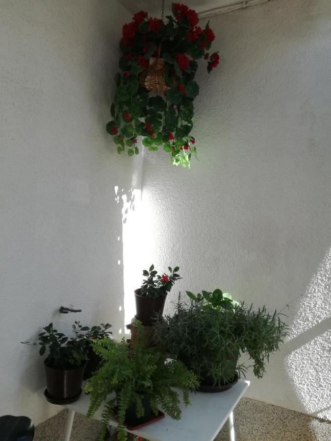 Apartments Culav Макарска Екстериор снимка